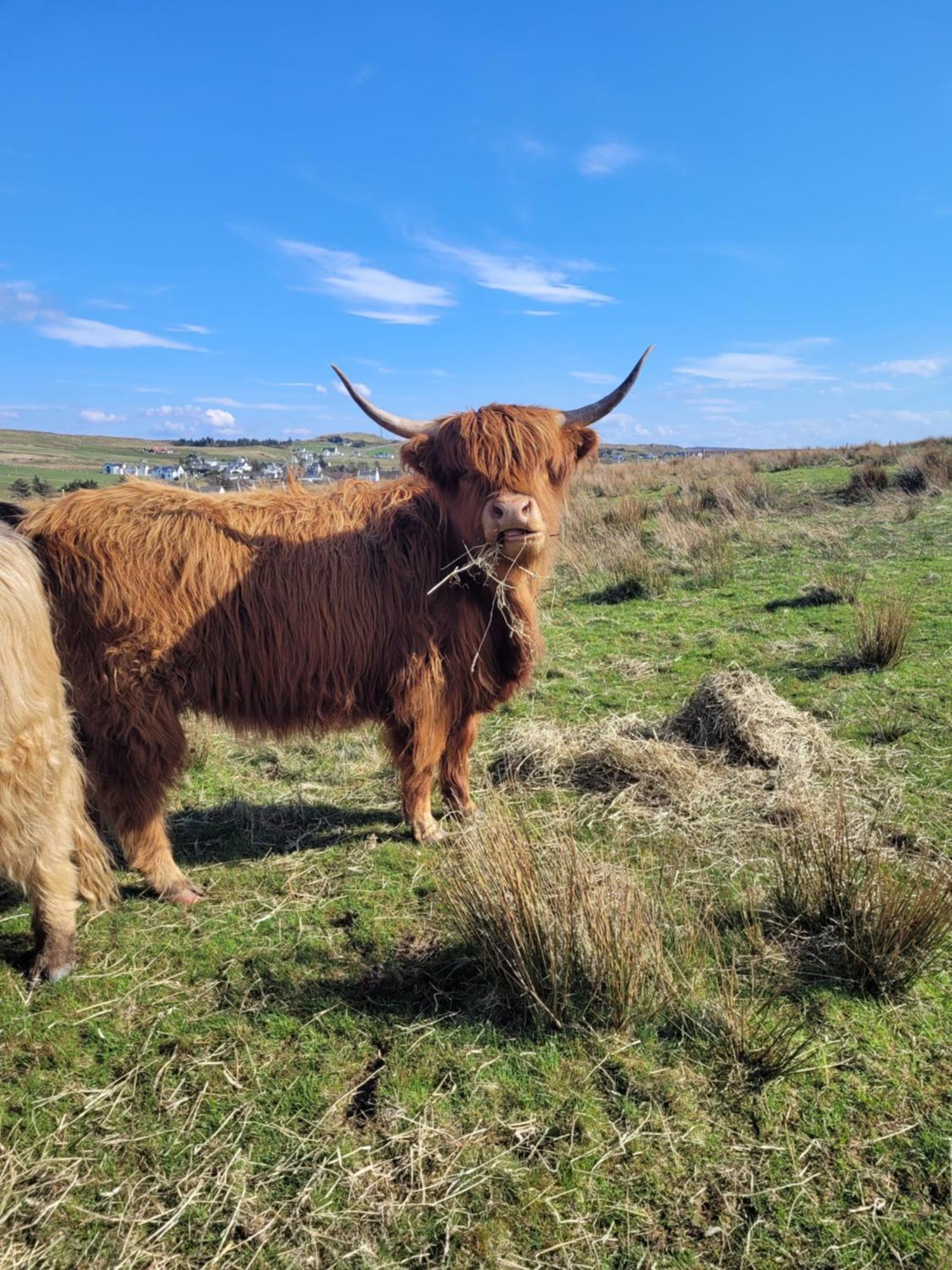 Skye Stays Staffin Exterior foto